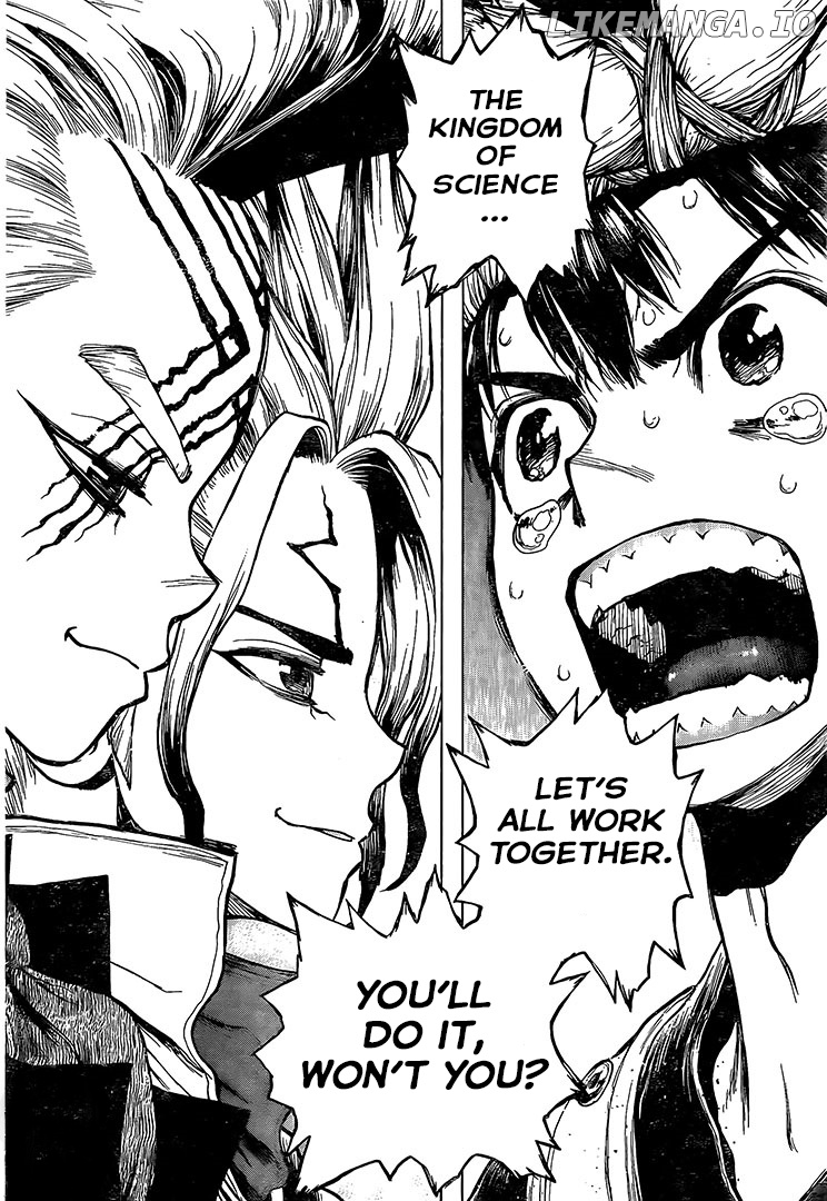 Dr.Stone Chapter 217 image 11
